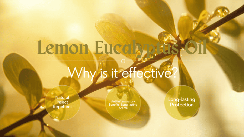 Lemon Eucalyptus oil. A key ingredient used in DERMAGLOVE's, insect repellant, Bug Off Me.